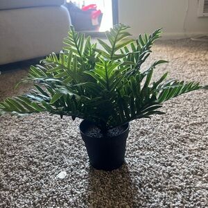 IKEA Faux Fern in Black Pot - Green
